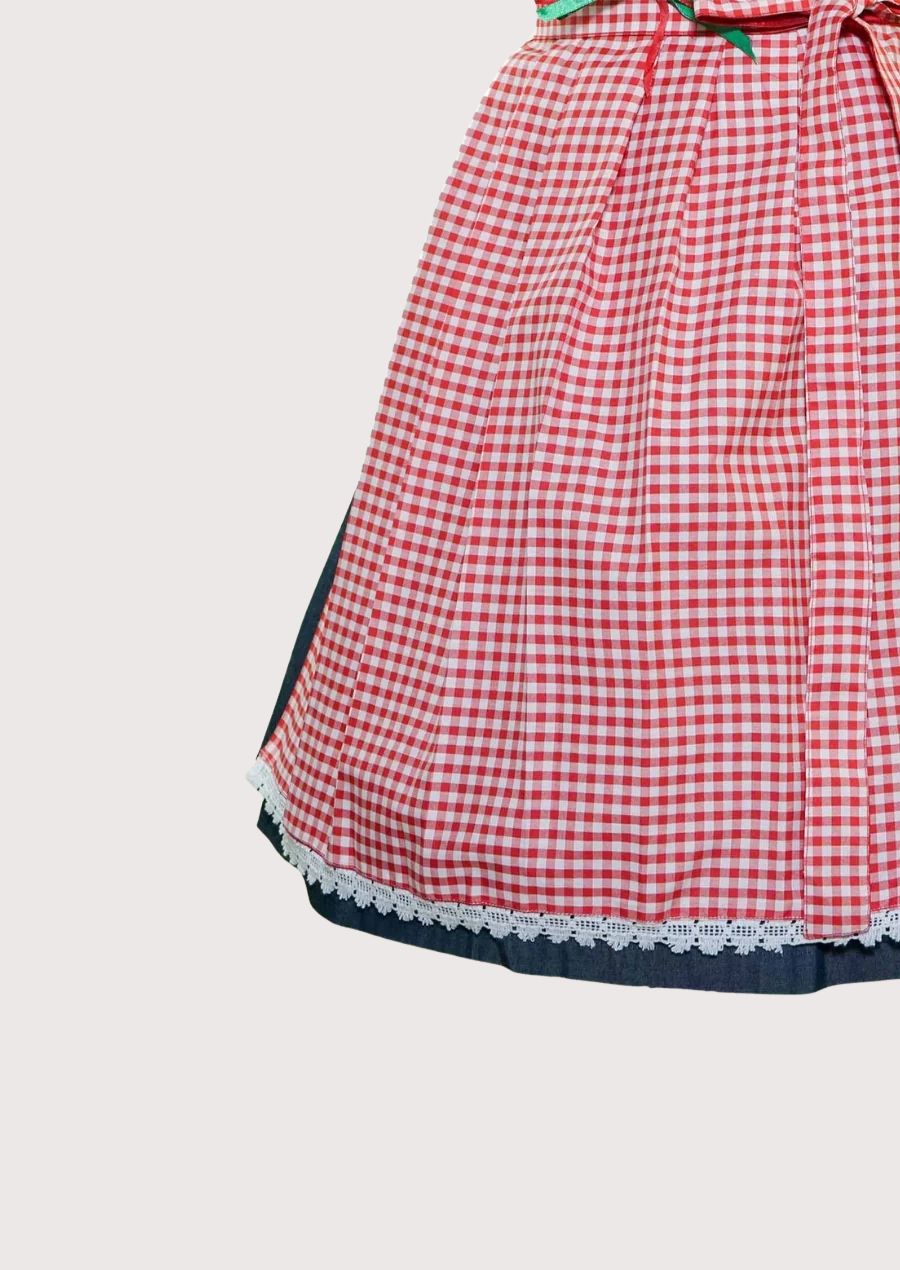 Women's Bavarian Dirndl dress with a floral embroidered bodice, decorative silver chain accents, black and white gingham apron, and traditional Alpine design.