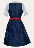 Embroidered German festival Dirndl featuring colorful floral embroidery, navy bodice, green and red corset lacing, checkered apron, and classic Oktoberfest fashion.