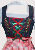 Vintage Bavarian Dirndl dress with floral embroidered bodice, decorative ribbon lacing, red gingham apron, white blouse, and timeless German folk costume design.