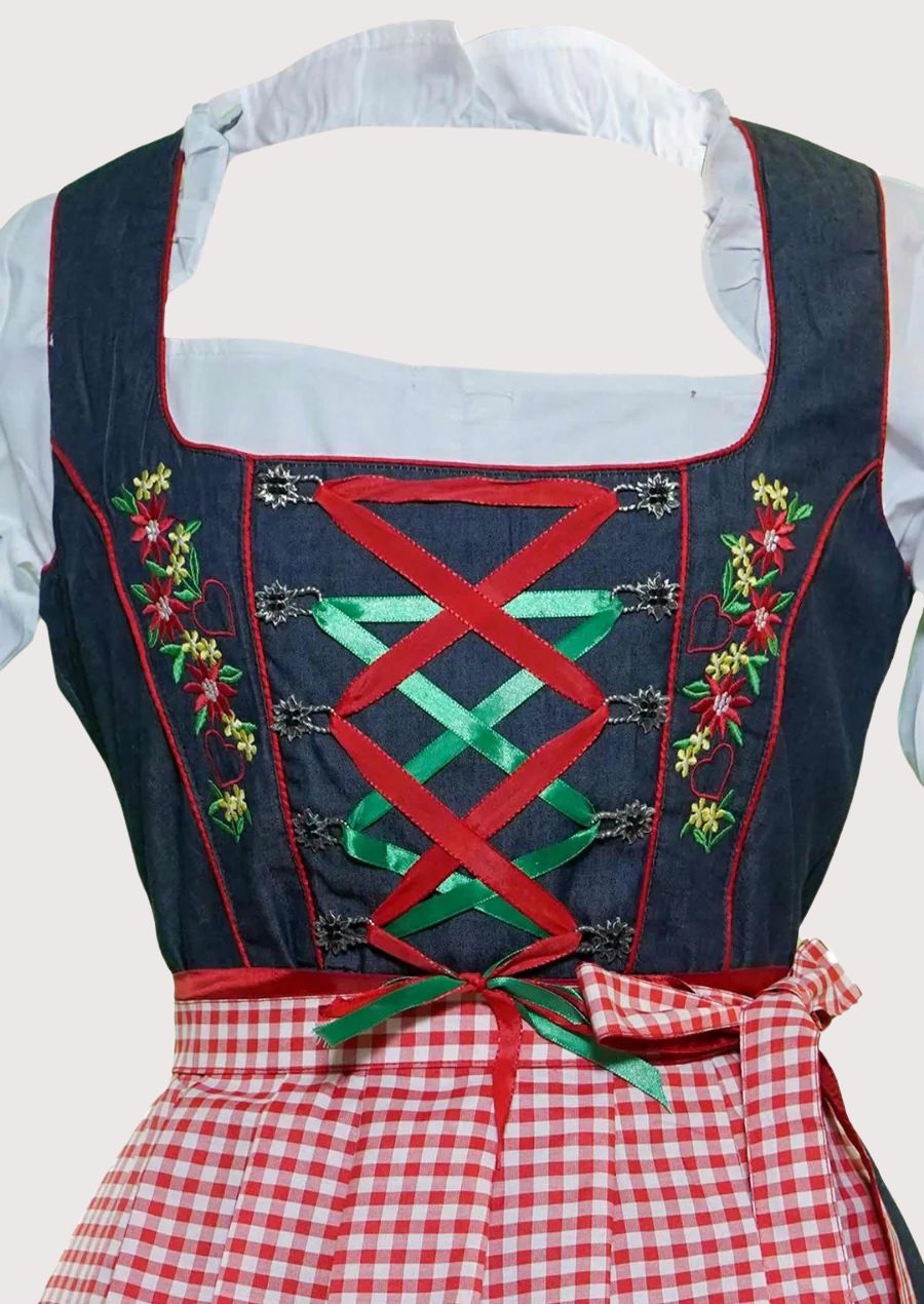 Vintage Bavarian Dirndl dress with floral embroidered bodice, decorative ribbon lacing, red gingham apron, white blouse, and timeless German folk costume design.
